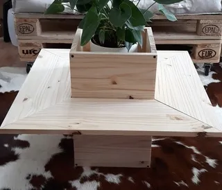 Table basse en bois Table basse en bois vase plante